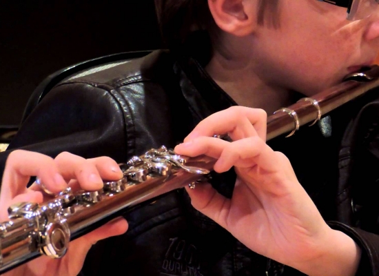 aulas individuais flauta transversal (3)